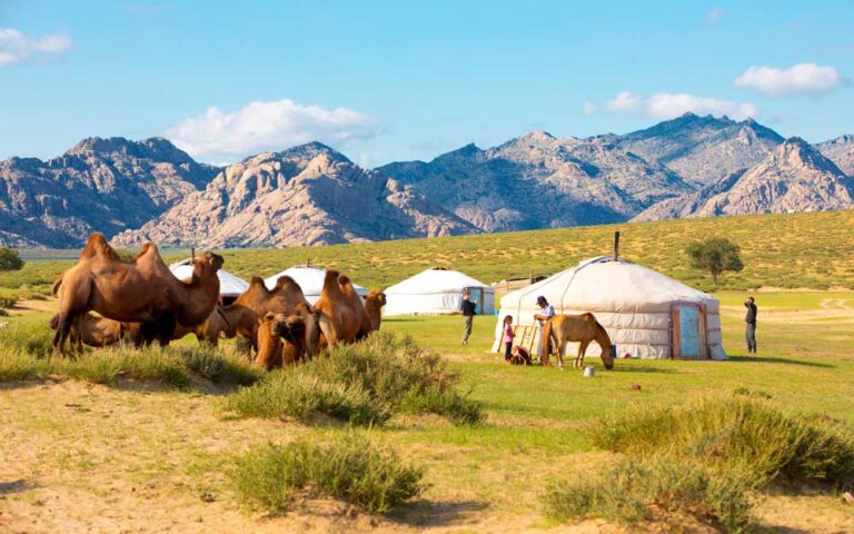 Mongolia Govi Tents